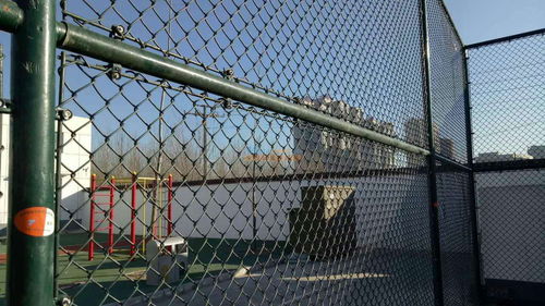 整车拓日护栏网 安平县拓日丝网制品的防护网解决方案