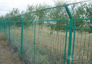 筑牢无形之盾 防护网的多元应用与深远意义